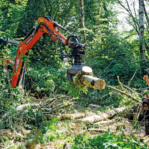 Arboriculture Thumbnail