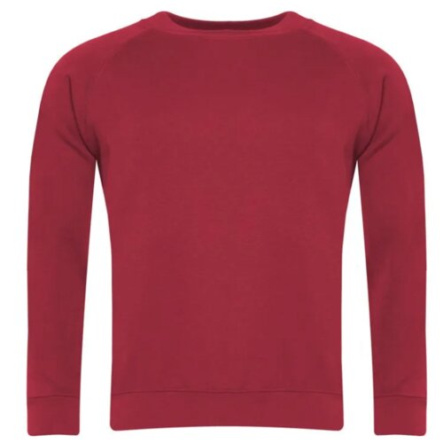 3SR Raglan Sweatshirt Junior Thumbnail