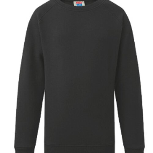 851 - Crew Neck Eco Sweatshirt (Juniors) Thumbnail