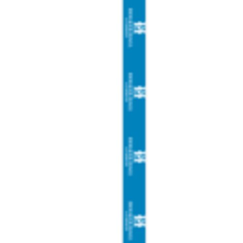 HH Lanyard - Holker Hall Lanyard 20mm With Trigger Thumbnail